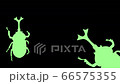 Walking beetle silhouette animation (green) 66575355