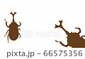 Walking Beetle Silhouette Animation (Brown) 66575356