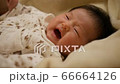 Yawning 0 year old baby 66664126