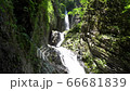 竜化の滝（音声あり） 66681839
