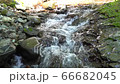 竜化の滝（音声あり） 66682045