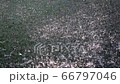 噴水のしぶき 66797046