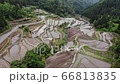 福岡県うきは市のつづら棚田 66813835