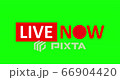 Live Stream sign. Red symbol, button of live streaming, broadcasting, online stream emblem. Alpha channel. For tv, shows and social media live performances 66904420