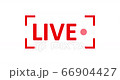 Live Stream sign. Red symbol, button of live streaming, broadcasting, online stream emblem. Alpha channel. For tv, shows and social media live performances 66904427