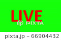 Live Stream sign. Red symbol, button of live streaming, broadcasting, online stream emblem. Alpha channel. For tv, shows and social media live performances 66904432