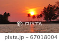 huge sunset behind coconut leaves tree,moving leaves branch tree, little wave in lagoon, golden reflection in water, moving flag, beach chair under tree, beautiful twilight sky background 67018004