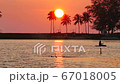 huge sunset behind coconut leaves tree,moving leaves branch tree, little wave in lagoon, golden reflection in water,rowing boat,moving flag, beach chair under tree, beautiful twilight sky background 67018005