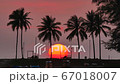huge sunset behind coconut leaves tree,moving leaves branch tree, little wave in lagoon, flying bird,moving flag, beach chair under tree, surfboard on sand ground floor, beautiful twilight sky backgro 67018007