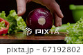 Slicing onion on a cutting board to cook meal. Healthy vegetarian food with lots of vitamins. 67192802
