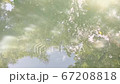 Water surface that reflects light and trees reflected there 67208818