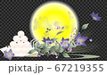 秋天的月亮和月亮中的餃子的十五個夜晚桔梗的花插圖動畫alpha通道 67219355