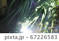 せせらぎ 67226583