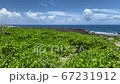 夏の晴れた空と海と沖縄の観光スポットの残波岬の岩と植物 67231912