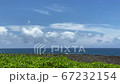 夏の晴れた空と海と沖縄の観光スポットの残波岬の岩と植物 67232154