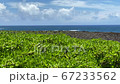 夏の晴れた空と海と沖縄の観光スポットの残波岬の岩と植物 03 67233562