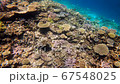 宮古島八重干瀬のサンゴ礁 宮古島八重干瀬のサンゴ礁 67548025