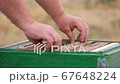 There's a Lot of Honey on the Frame 67648224
