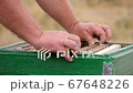 Frames with Honey Between Empty Frames in the Hive 67648226