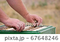 Beekeeper Pulls Frame with Honey Out of the Hive 67648246