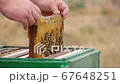 The Honey Frame is Installed in a Wooden Hive 67648251