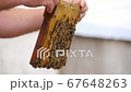Honeycomb Frame in the Hands of the Beekeeper 67648263