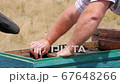 Apiarist Takes Care of the Beehive 67648266