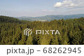 Beautiful View of Forest and Fields Aerial 68262945