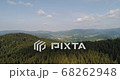 Beautiful View of Forest and Fields Aerial 68262948