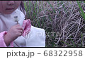 Little girl blowing fluff of dandelion 68322958