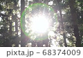 木漏れ日 68374009