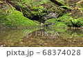 山の渓谷にある美しい水の流れ 68374028