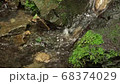 山の渓谷にある美しい清水 68374029