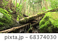 山の渓谷にある小さな滝 68374030