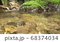 山の渓谷にある美しい水の流れ 68374034