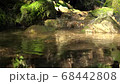 山の渓谷にある美しい水の流れ 68442808