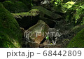 山の渓谷にある美しい水の流れ 68442809