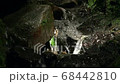 山の渓谷にある美しい水の流れ 68442810