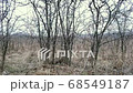camera moves inside the bare bush, making its way through prickly branches 68549187