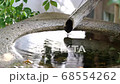 Stone Shishiodori in a Japanese garden 68554262