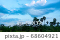 Timelapse of passing cloud with vivid blue sky over row of tree. 68604921