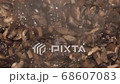 Close Up Background Of Cooking Champignon Mushrooms, Backdrop, Texture 68607083