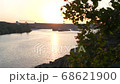 The beginning of a new day in nature. Beautiful slow motion footage with wild wildflowers at dawn against the backdrop of the rising sun and river. 68621900