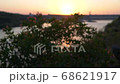 The beginning of a new day in nature. Beautiful slow motion footage with wild wildflowers at dawn against the backdrop of the rising sun and river. 68621917