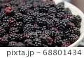 Rotating plate with ripe blackberry. High resolution video with vegetarian food full of vitamins. 68801434