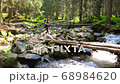 Trekking in Summer Time 68984620