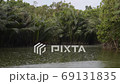 Raining on the tropical lake surrounded by nipa palm trees. This is Bang Krachao (Bang Kachao) known as the Green Lung of Bangkok City. With sound of rain 69131835