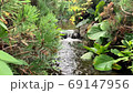 公園内の小川 69147956