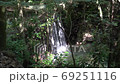 長崎県諫早市 富川渓谷 万年の森の風景 長崎県諫早市 富川渓谷 万年の森の風景 69251116