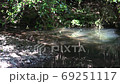 長崎県諫早市 富川渓谷 万年の森の風景 長崎県諫早市 富川渓谷 万年の森の風景 69251117